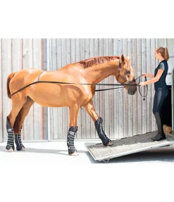 SHOWMASTER Sangle d'embarquement Quick noir Hot