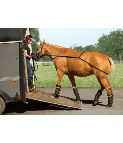 SHOWMASTER Sangle d'embarquement Quick noir Hot