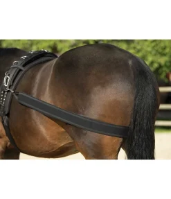 SHOWMASTER Sangle élastique pour cheval Clearance