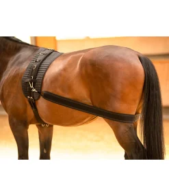 SHOWMASTER Sangle élastique pour cheval Clearance
