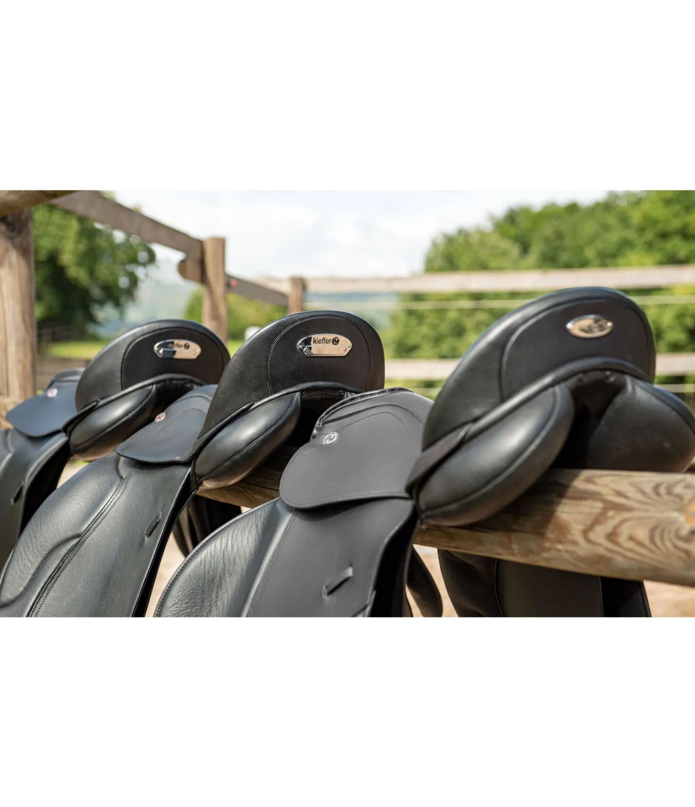 Felix Bühler by kieffer Selle de dressage Exclusive Best