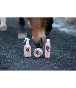 SHOWMASTER Shampoing Champion Clearance