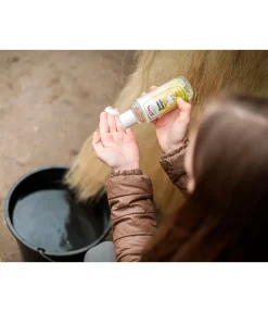 ZEDAN Shampoing anti-eczéma - baume nettoyant New