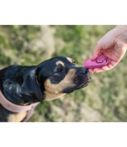 sugar dog Sifflet combiné avec clicker rose New