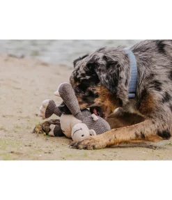 sugar dog Singe en peluche pour chien Alfie Clearance