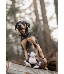 sugar dog Singe en peluche pour chien Alfie Clearance