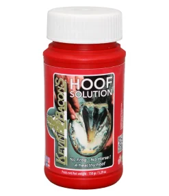 KEVIN BACON'S Solution sabots Online