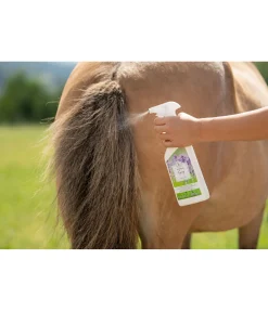 SHOWMASTER Spray Eczemolin Sale
