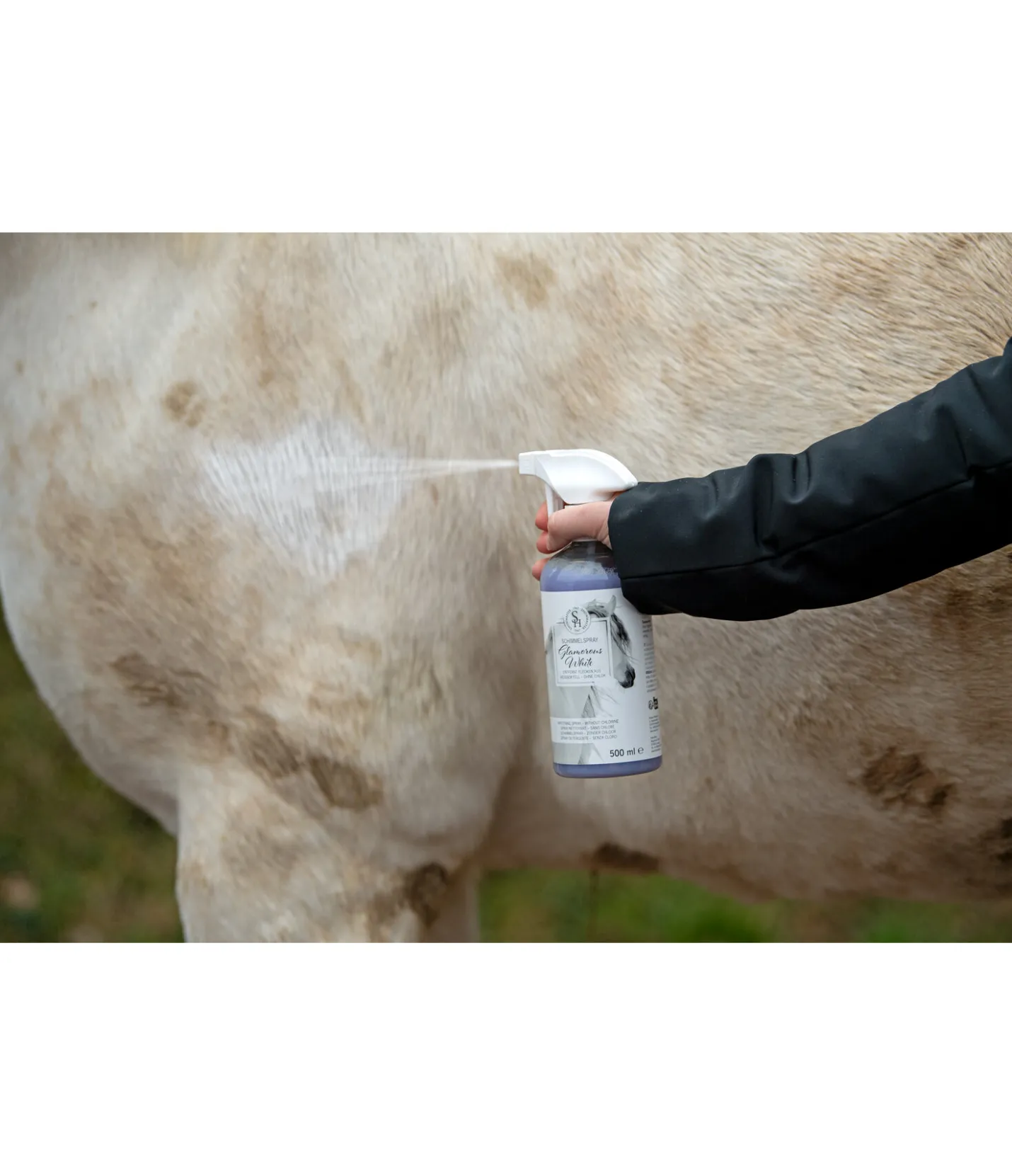 SHOWMASTER Spray nettoyant Glamorous White Best