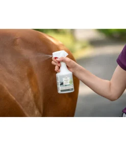 SHOWMASTER Stop insectes pour le cheval et le cavalier Hot