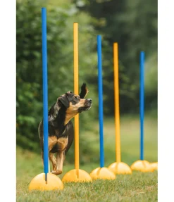 sugar dog Supports d'agility jaune Sale