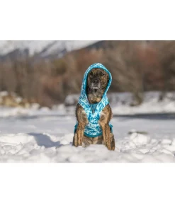 sugar dog Sweat à capuche pour chien Daphne aquamarine Best