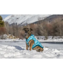 sugar dog Sweat à capuche pour chien Daphne aquamarine Best