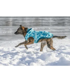 sugar dog Sweat à capuche pour chien Daphne aquamarine Best