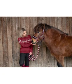 FENGUR Sweat Norway Spirit cabernet Clearance