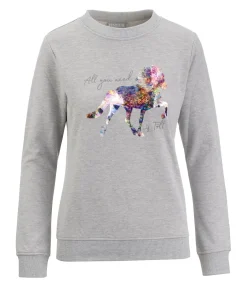 FENGUR Sweat Stalla gris Online