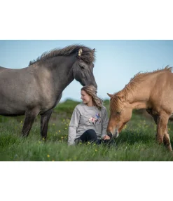FENGUR Sweat Stalla gris Online