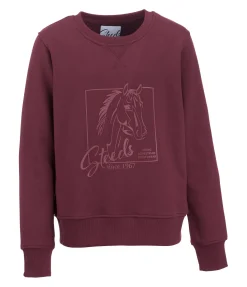 STEEDS Sweat enfant Sora II cassis Hot