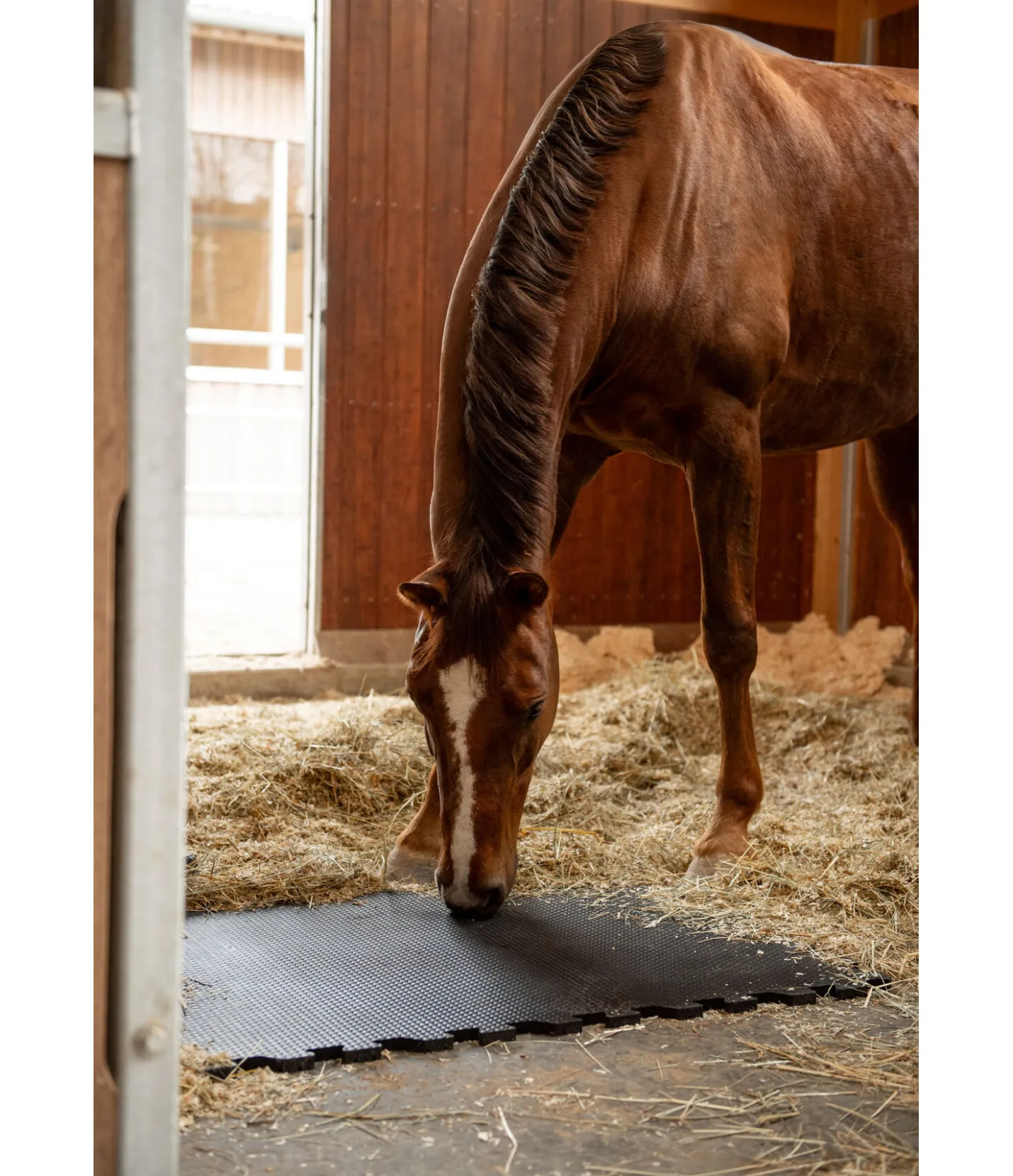 Kramer Tapis d'écurie Online