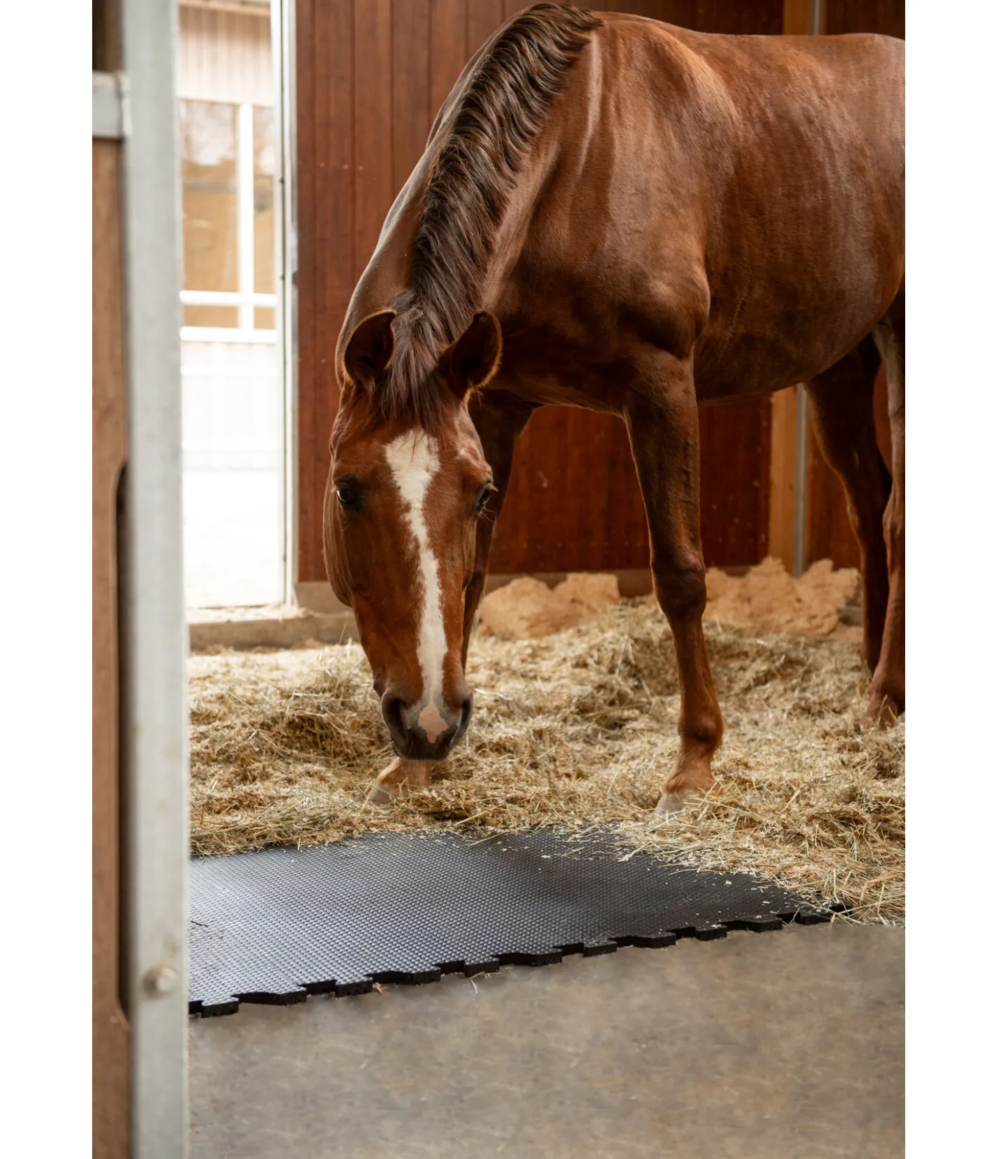 Kramer Tapis d'écurie Online