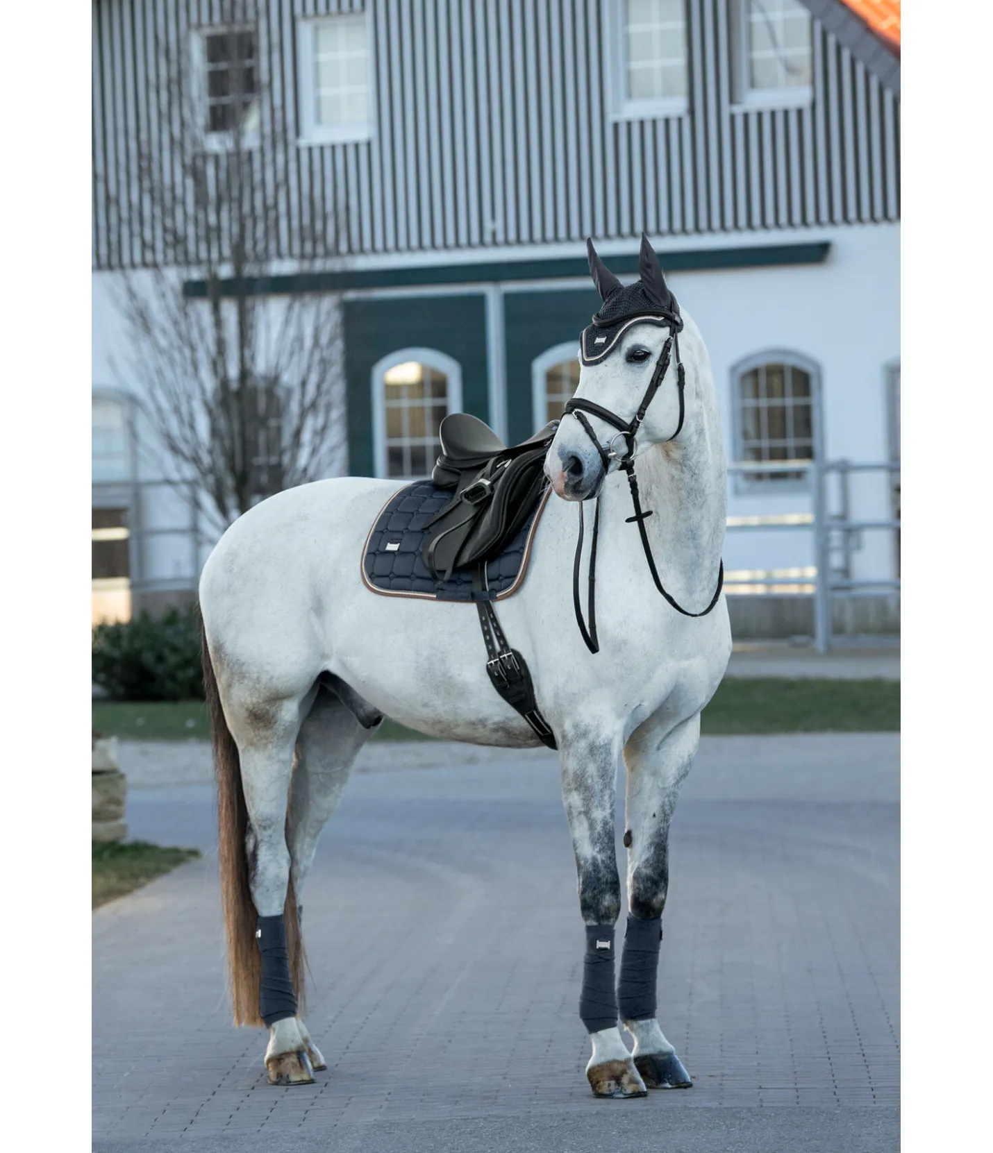 Felix Bühler Tapis de selle Essential navy Best