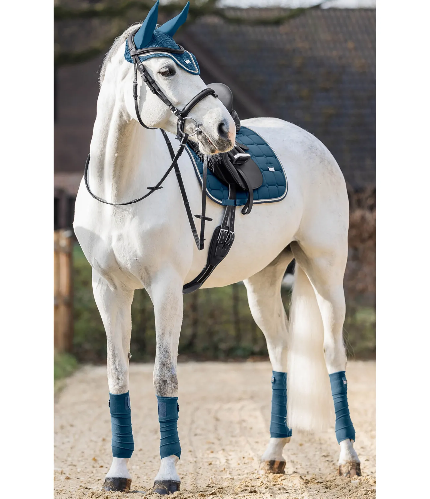 Felix Bühler Tapis de selle Essential bleu océan Sale
