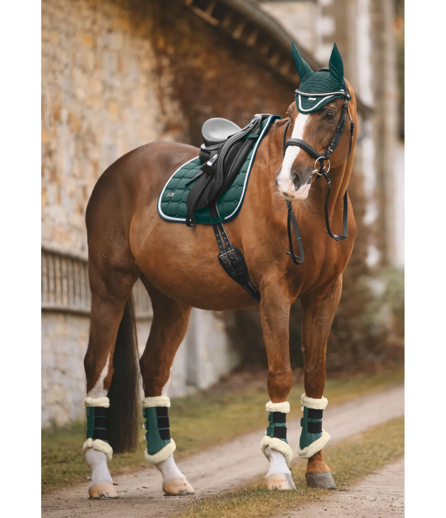 Felix Bühler Tapis de selle Essential vert d´eau Outlet