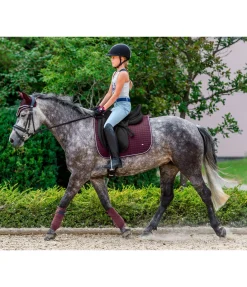 SHOWMASTER Tapis de selle Basic acajou Best