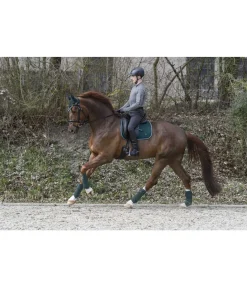 SHOWMASTER Tapis de selle Basic vert d´eau Hot