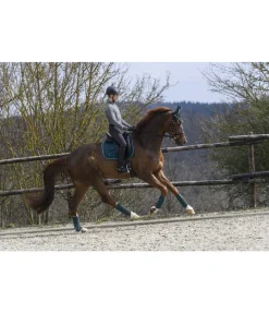 SHOWMASTER Tapis de selle Basic vert d´eau Hot