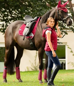 SHOWMASTER Tapis de selle Basic Pro cerise New