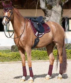SHOWMASTER Tapis de selle Basic Pro acajou
