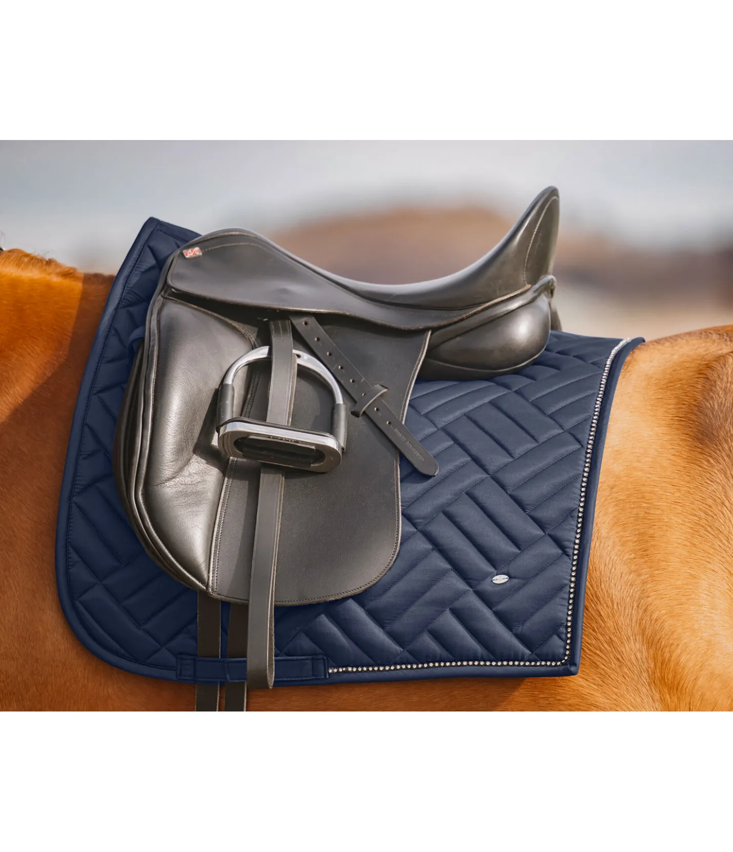 SHOWMASTER Tapis de selle Brillant navy classique Sale