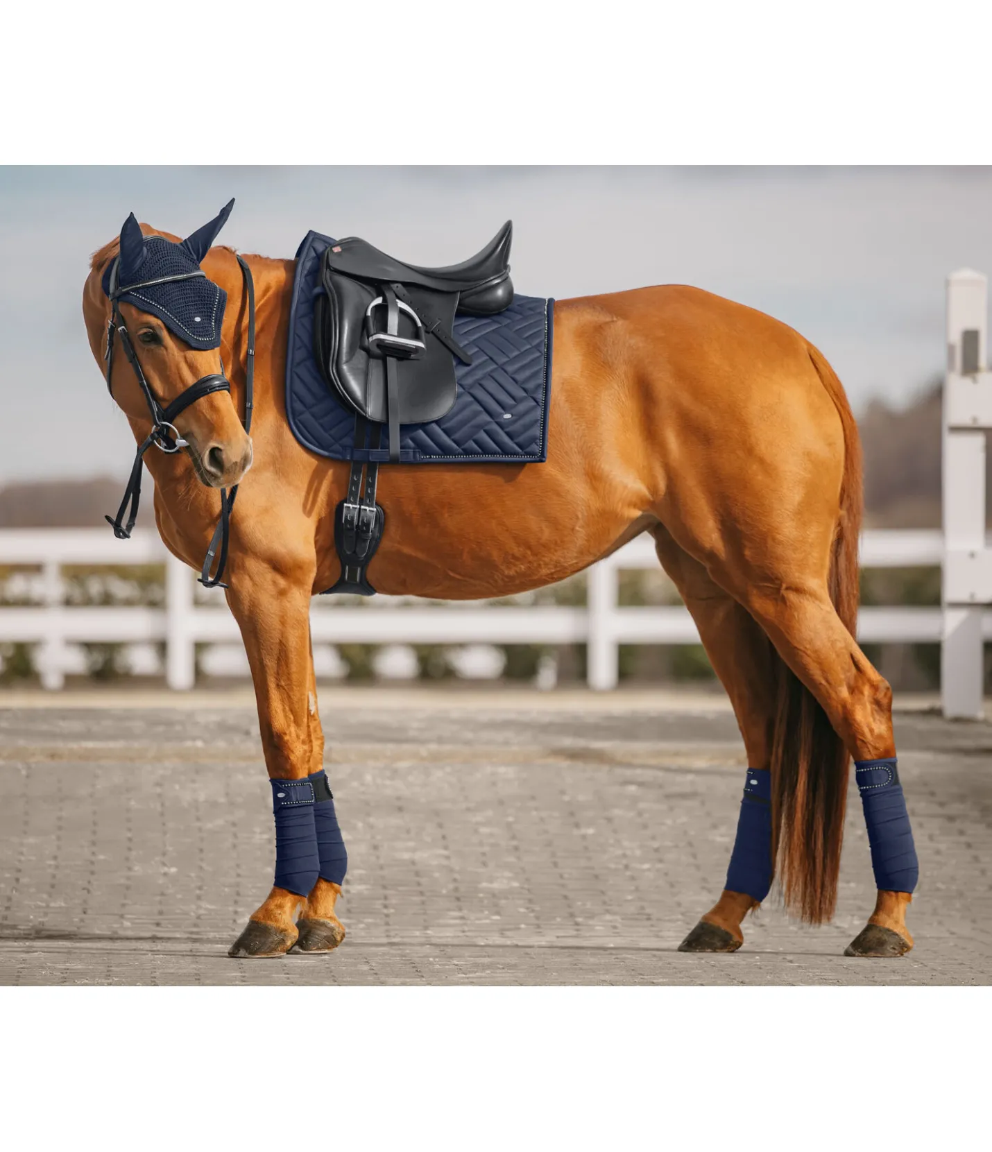 SHOWMASTER Tapis de selle Brillant navy classique Sale