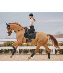 SHOWMASTER Tapis de selle Brillant noir