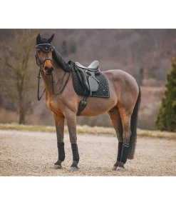 SHOWMASTER Tapis de selle Brillant noir