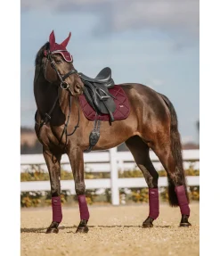 Felix Bühler Tapis de selle Essential Standard bordeaux Hot