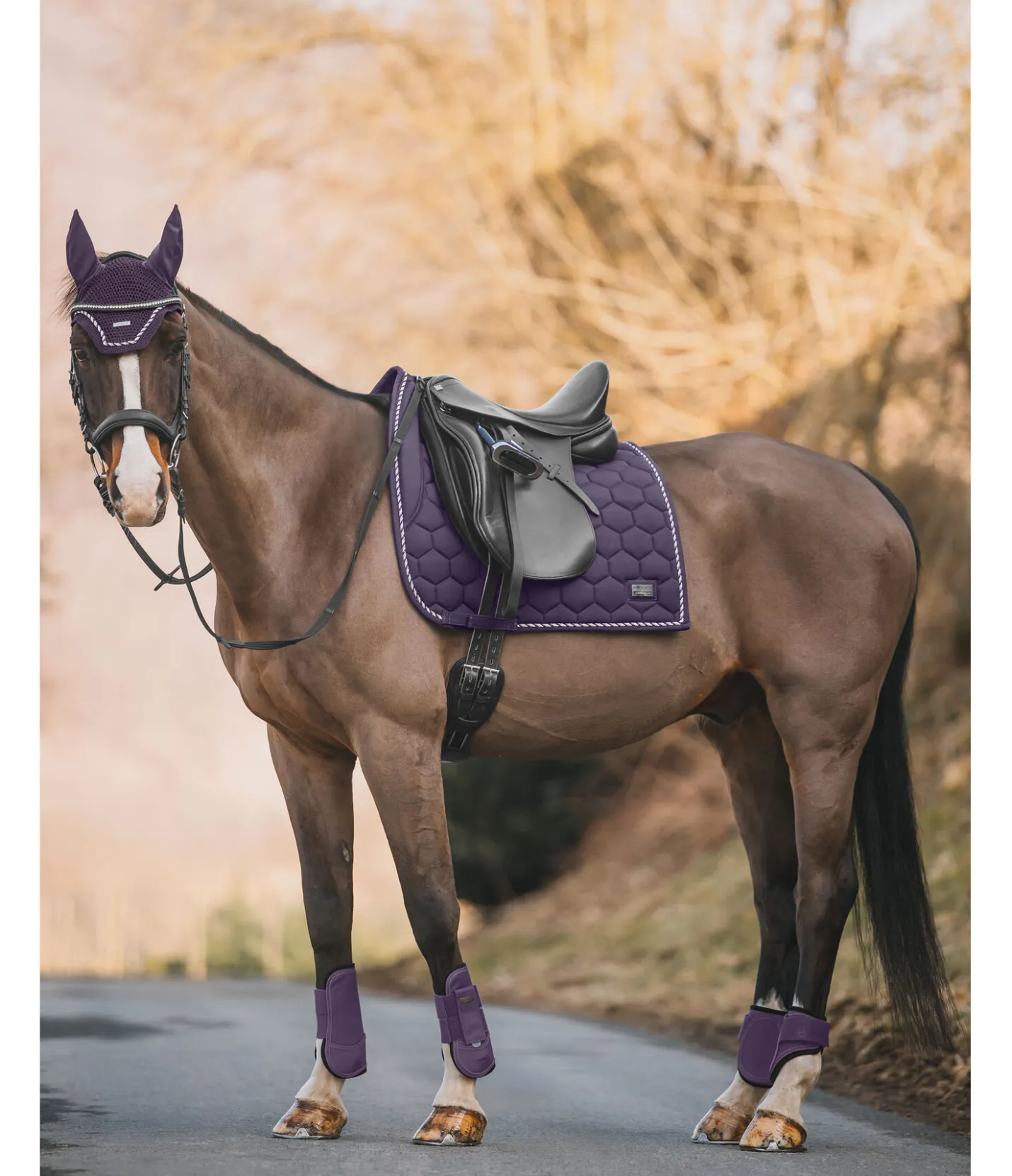 Felix Bühler Tapis de selle Sophistication sans passants de contre-sanglons violet foncé Sale