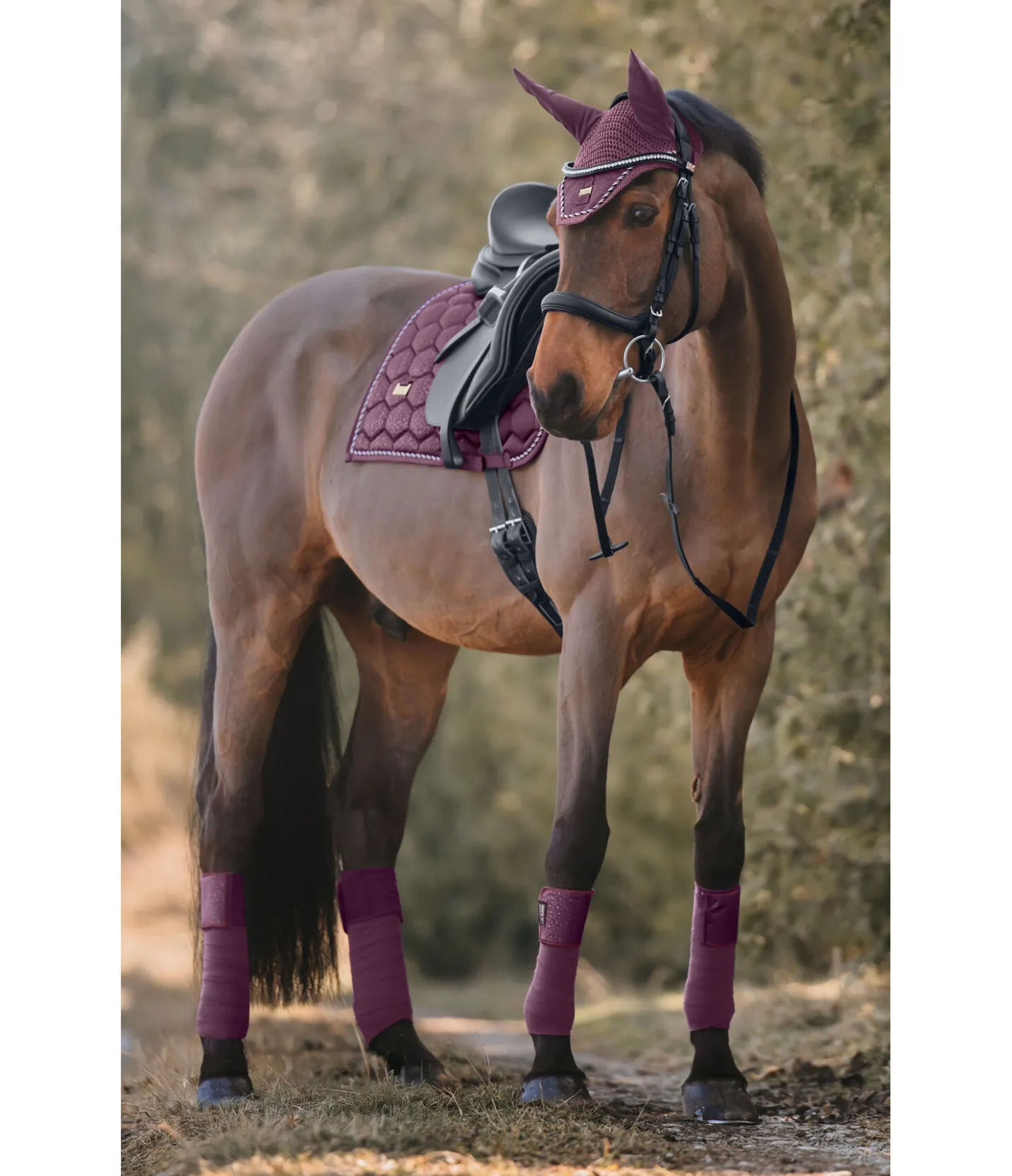 Felix Bühler Tapis de selle Sparkling II noir-violet Discount
