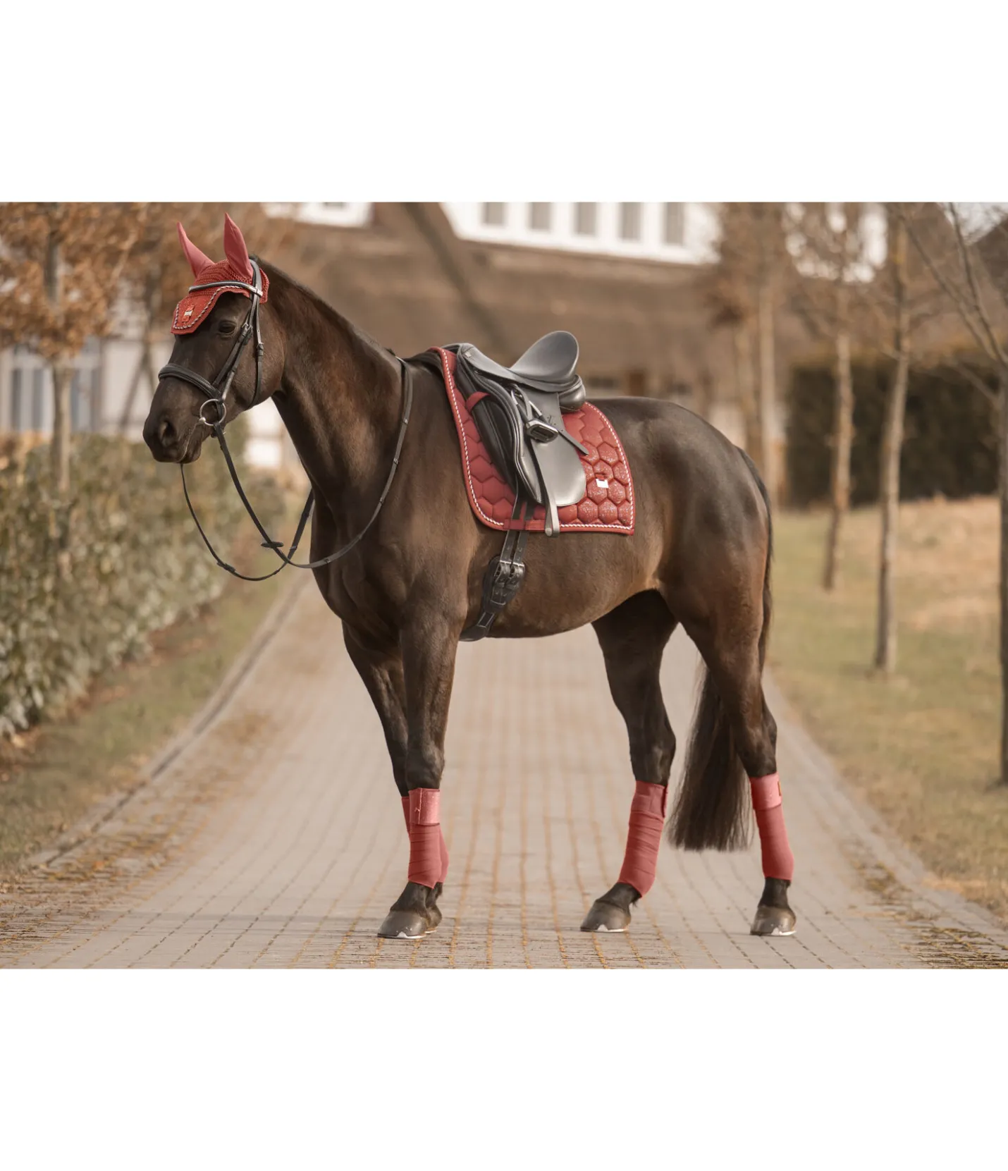 Felix Bühler Tapis de selle Sparkling II cuivre New