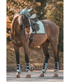 Felix Bühler Tapis de selle Swiss Design vert océan Sale