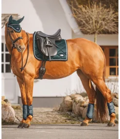 Felix Bühler Tapis de selle Swiss Design thé vert Sale