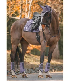 Felix Bühler Tapis de selle Swiss Design pourpre Sale