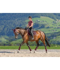 SHOWMASTER Tapis de selle en coton Basic Deluxe acajou Outlet