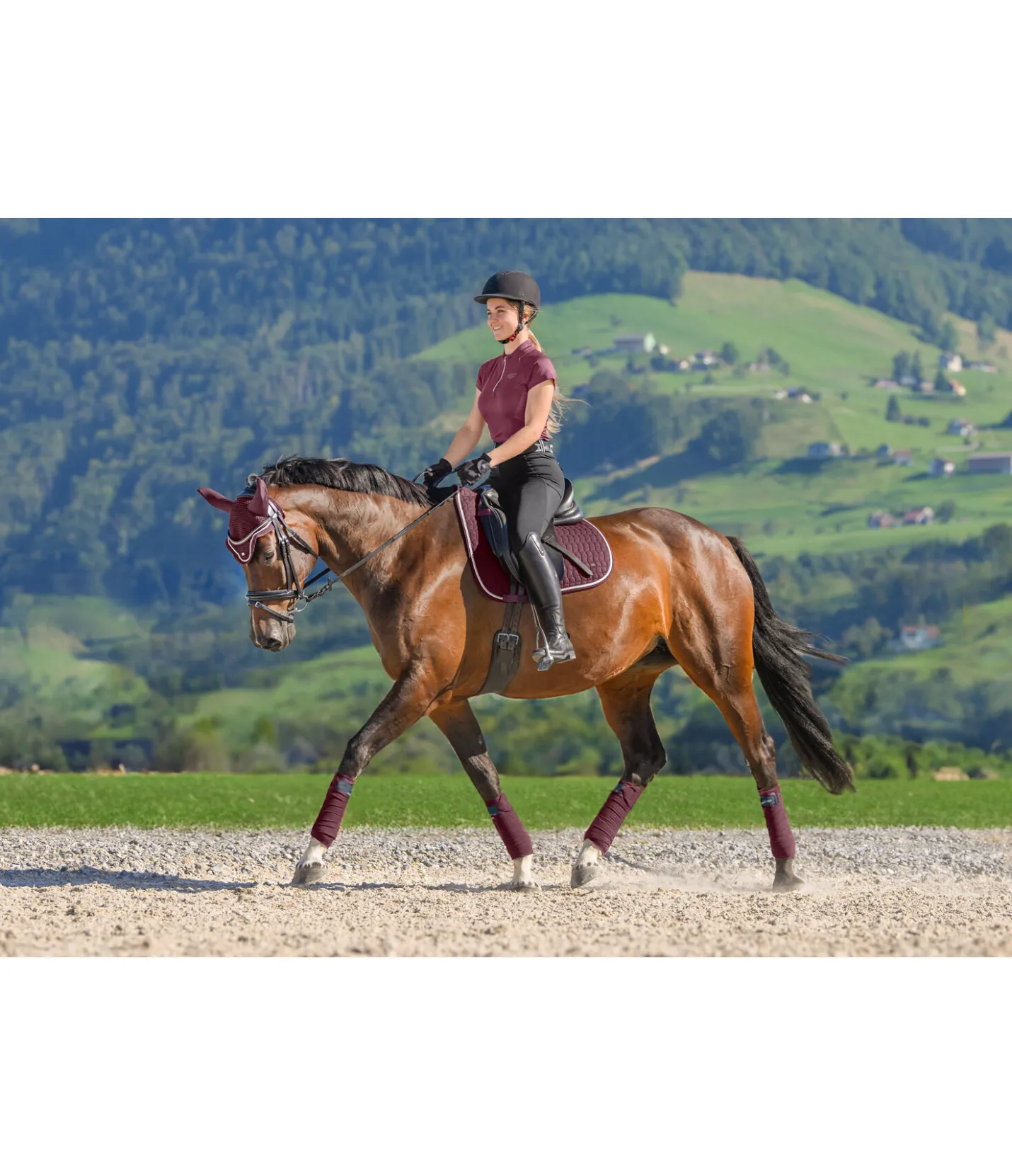 SHOWMASTER Tapis de selle en coton Basic Deluxe acajou Outlet