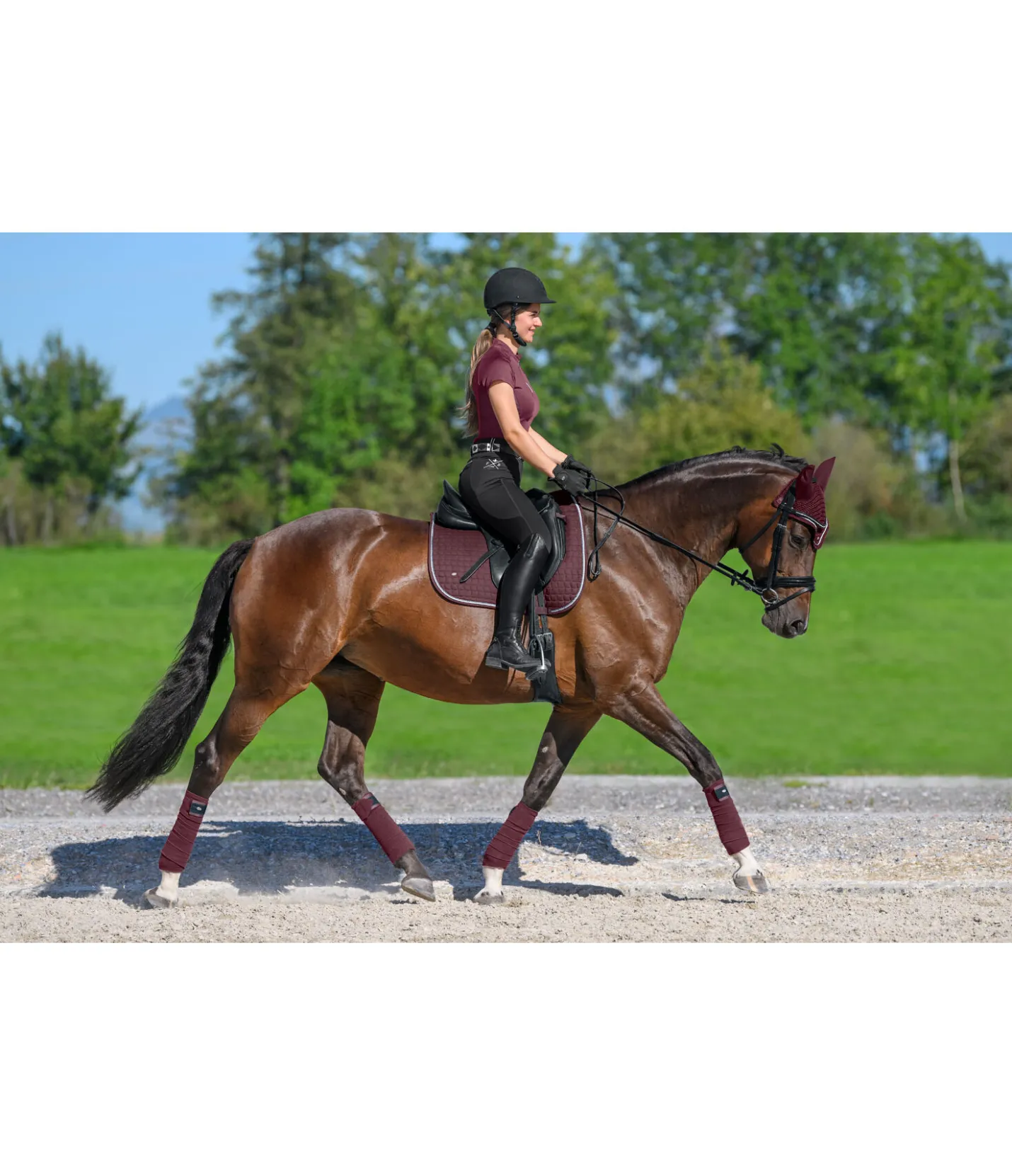 SHOWMASTER Tapis de selle en coton Basic Deluxe acajou Outlet