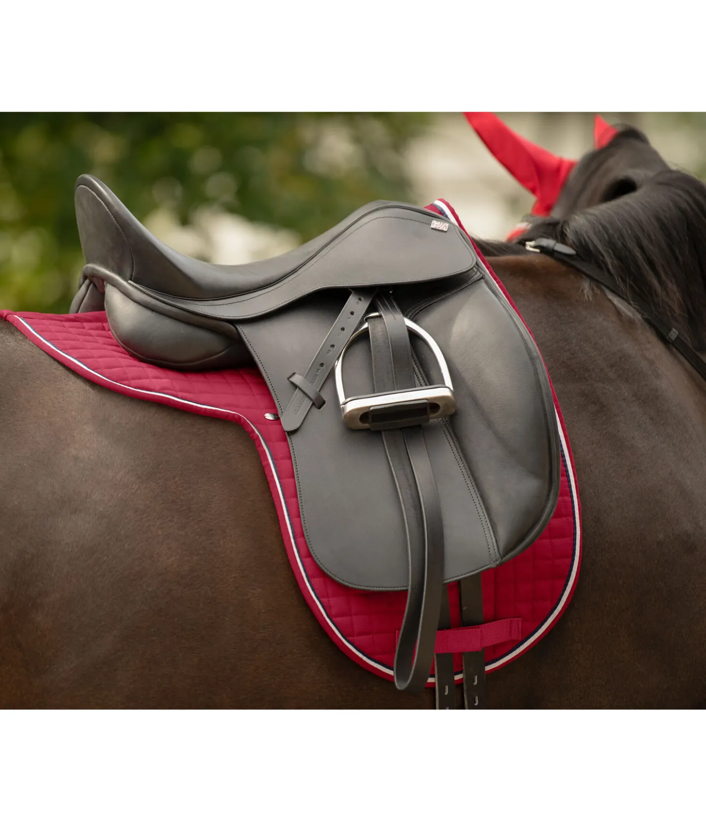SHOWMASTER Tapis de selle en coton Basic cerise Discount
