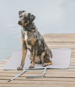 sugar dog Tapis de voyage Summer matcha foncé New