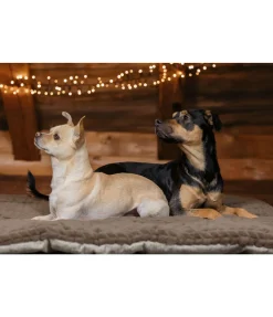 sugar dog Tapis pour chien Let Me Sleep macadamia Sale