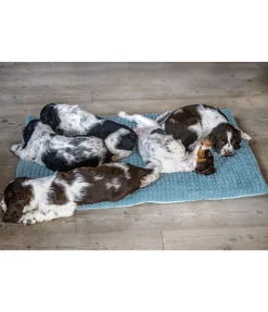 sugar dog Tapis pour chien Let Me Sleep menthe Discount
